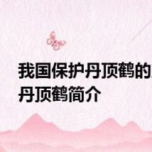 我国保护丹顶鹤的原因 丹顶鹤简介