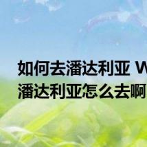 如何去潘达利亚 WOW潘达利亚怎么去啊