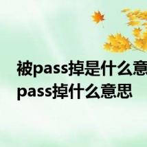 被pass掉是什么意思 被pass掉什么意思