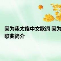 因为我太傻中文歌词 因为我太傻歌曲简介