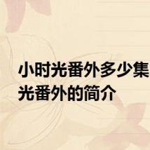 小时光番外多少集 小时光番外的简介