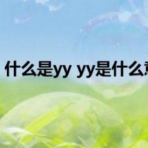 什么是yy yy是什么意思