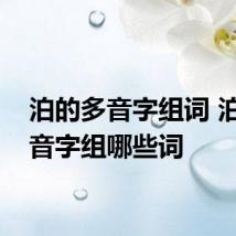 泊的多音字组词 泊的多音字组哪些词