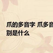 爪的多音字 爪多音字分别是什么