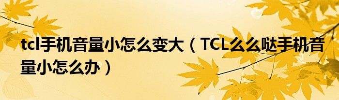 tcl手机体积小怎么做大(TCL手机体积小怎么办)