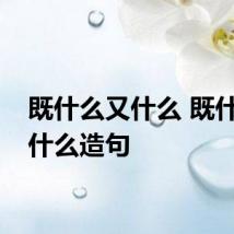 既什么又什么 既什么又什么造句