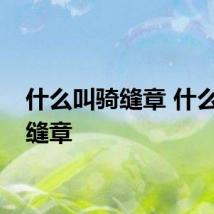什么叫骑缝章 什么是骑缝章