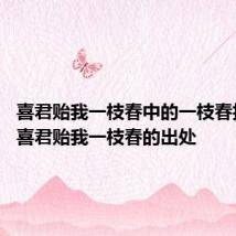 喜君贻我一枝春中的一枝春指的是 喜君贻我一枝春的出处