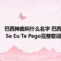巴西神曲叫什么名字 巴西神曲Ai Se Eu Te Pego完整歌词