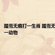 踏雪无痕打一生肖 踏雪无痕打打一动物