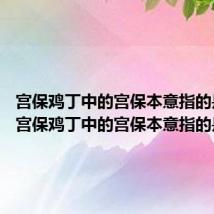 宫保鸡丁中的宫保本意指的是什么 宫保鸡丁中的宫保本意指的是啥
