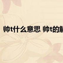 帅t什么意思 帅t的解释