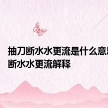 抽刀断水水更流是什么意思 抽刀断水水更流解释