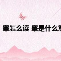 睾怎么读 睾是什么意思