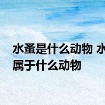水蚤是什么动物 水蚤是属于什么动物