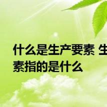 什么是生产要素 生产要素指的是什么