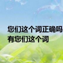 您们这个词正确吗 有没有您们这个词