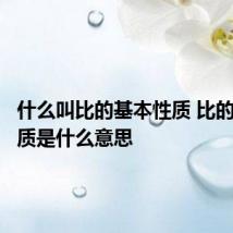 什么叫比的基本性质 比的基本性质是什么意思