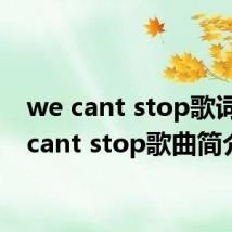 we cant stop歌词 we cant stop歌曲简介