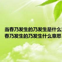 当春乃发生的乃发生是什么意思 当春乃发生的乃发生什么意思