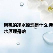 明矾的净水原理是什么 明矾的净水原理是啥
