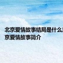 北京爱情故事结局是什么意思 北京爱情故事简介
