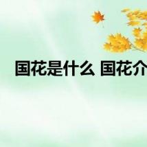 国花是什么 国花介绍