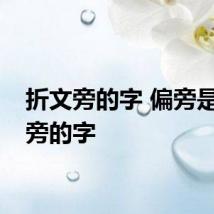 折文旁的字 偏旁是折文旁的字