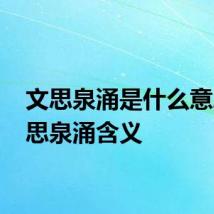 文思泉涌是什么意思 文思泉涌含义