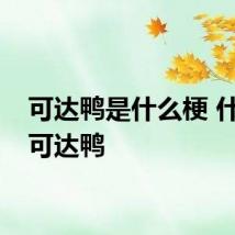 可达鸭是什么梗 什么是可达鸭