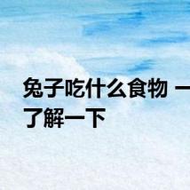 兔子吃什么食物 一起来了解一下