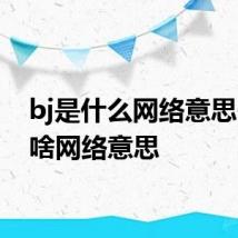 bj是什么网络意思 bj是啥网络意思