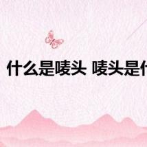 什么是唛头 唛头是什么