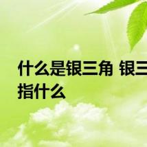 什么是银三角 银三角是指什么