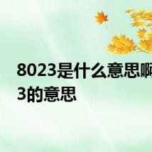8023是什么意思啊 8023的意思