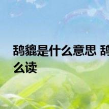 鸹貔是什么意思 鸹貔怎么读