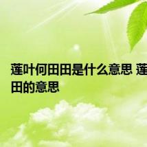 莲叶何田田是什么意思 莲叶何田田的意思