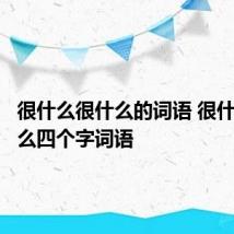 很什么很什么的词语 很什么很什么四个字词语