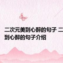 二次元美到心醉的句子 二次元美到心醉的句子介绍