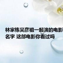 林家栋吴彦祖一起演的电影叫什么名字 这部电影你看过吗
