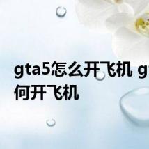 gta5怎么开飞机 gta5如何开飞机