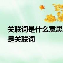 关联词是什么意思 什么是关联词