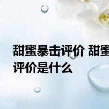 甜蜜暴击评价 甜蜜暴击评价是什么