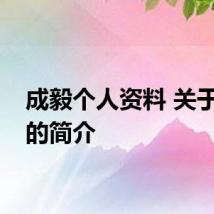 成毅个人资料 关于成毅的简介