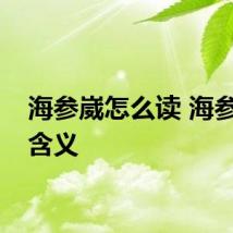 海参崴怎么读 海参崴的含义