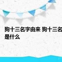 狗十三名字由来 狗十三名字由来是什么