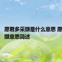 愿君多采撷是什么意思 愿君多采撷意思简述