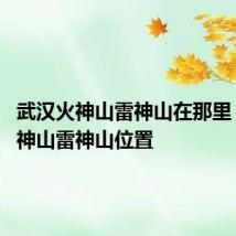 武汉火神山雷神山在那里 武汉火神山雷神山位置