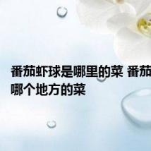 番茄虾球是哪里的菜 番茄虾球是哪个地方的菜