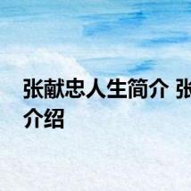 张献忠人生简介 张献忠介绍
